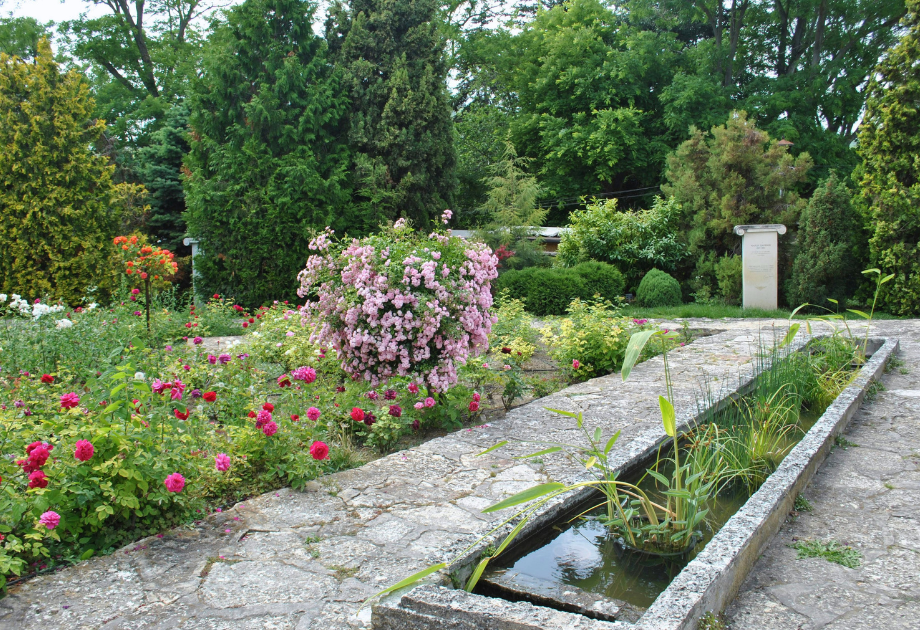 a garden with a stone path, water garden and english garden
